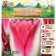 Tulip Triumph Garden Pati, rr 11/12, 5 pcs, autumn 2024
