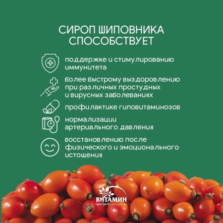 Rosehip syrup, 250 g-2