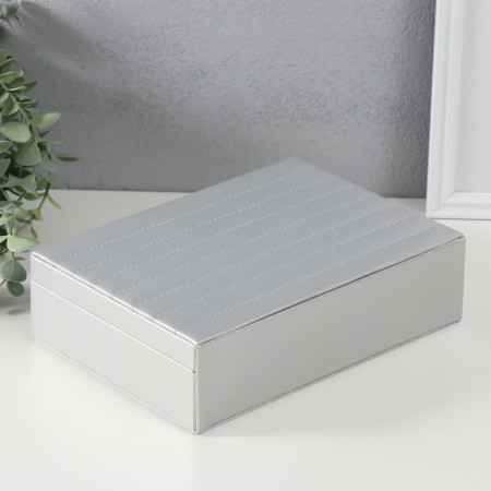 The casket to the leatherette for jewelry "Sleepy. Strips. Bant" silver 17x24x7 cm-4