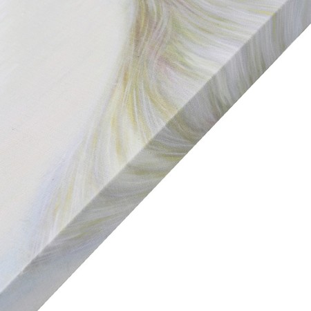 Khlest painting on the subframe "White Horse" 50x70 cm-1
