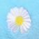 Folder for animals "Chamomile", Velsoft, Size XL, Blue (DS 40, Osh 32, OG 46 cm)