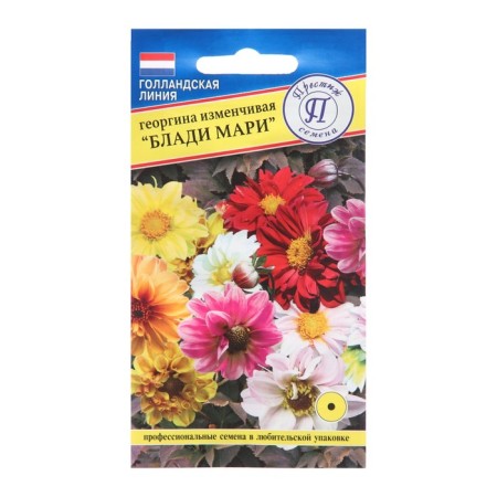 Georgin's flowers changeable "Blady Marie", 20 pcs