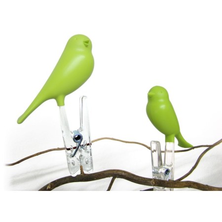 Quay Sparrow Country set, 4 pcs, green color-1