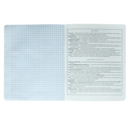 A notebook “Bright details”, 48 sheets in the “Social Studies” cage, covered cardboard, selective twin-lak, UV-lak, OFSET block-4