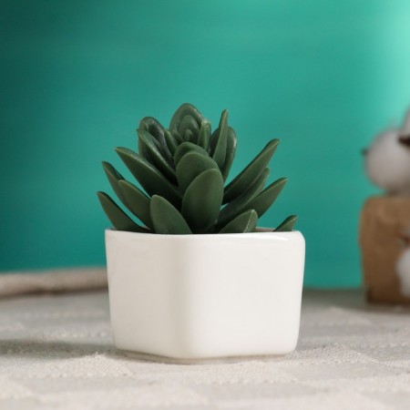 Pot "Eco" 5x4cm