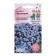 Flower seeds forget -me -not "ultramarin" 0.1 g