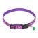 The two -layer collar with the fastx "Bones and legs", 30 x 1 cm, purple