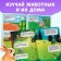 A set of books with a tour stickers, 2 pcs., 60 stickers, 3+