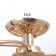 Causte "Venda" BP6X40W E27 Gold Model: 2800089