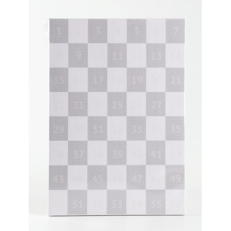 Diamond mosaic from a photo with the full filling of "Gray", on a canvas with a subframe, A4-2