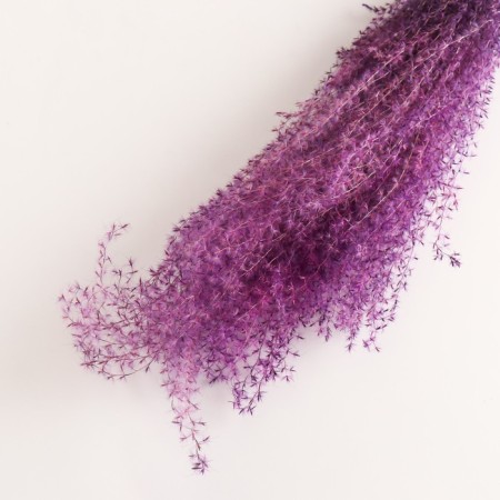 A set of dried flowers "Miscantus", a ban 3-5 pcs, length 60 (+/- 6 cm), purple-2