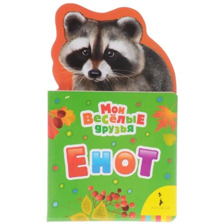 Raccoon. Volkova N.