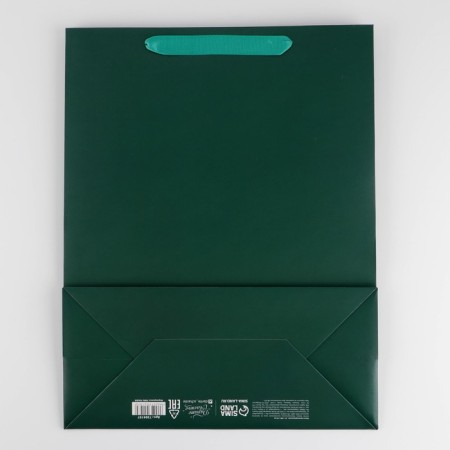 Gift laminated package, packaging, "Emerald", l 31 x 40 x 11.5 cm-3