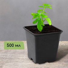 A pot for seedlings, 500 ml, d = 9 cm, h = 9.5 cm, black