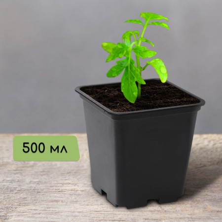 A pot for seedlings, 500 ml, d = 9 cm, h = 9.5 cm, black