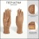 Gloves are female, dimensionless, without insulation, beige color