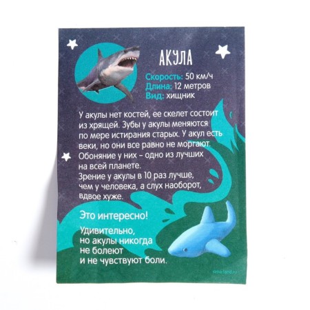Growing animals in the egg "shark" mix-3