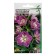 Seeds of Flowers Dolphinium "Excalibur Rose Viz Bi", F1, 10 pcs.