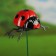 Set of plugs "God's ladybug", 2pcs, 40cm