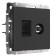 Rosette W1181308, TV+Ethernet, RJ-45, 6 Cat., Black matte