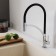 Santek Brooks kitchen mixer, long flexible spout, chrome