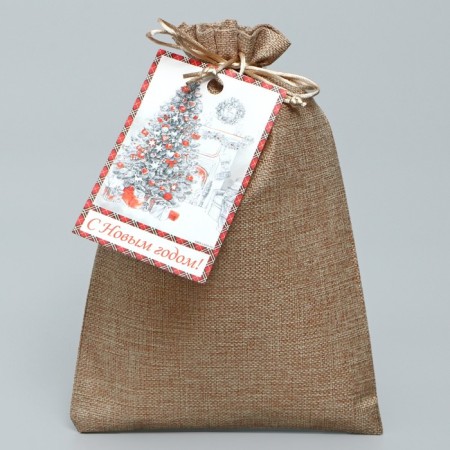 Gift bag "Winter", 20 x 30 cm +/- 1.5 cm, New Year-1