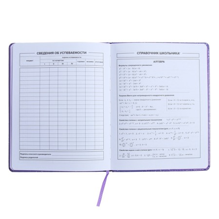 Universal Diary Grade 1-11, 48 sheets "Girl on the Moon", solid cover of artificial leather, applique, liesa, OFSET block-11