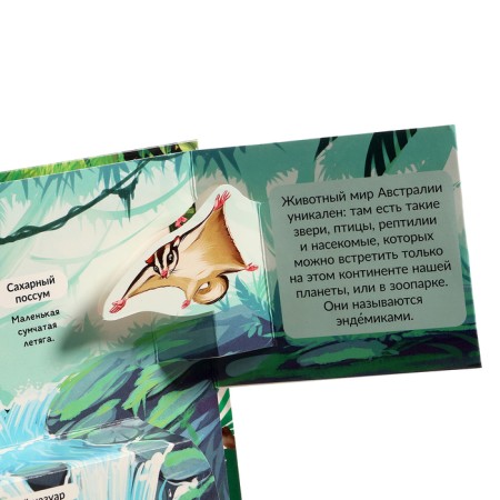 3D Encyclopedia Panoramk "Jungle"-4
