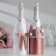 CHAMPARY ALECTION "Tenderness", dusty rose