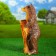 Garden figure "Welcome" 22x22x50cm