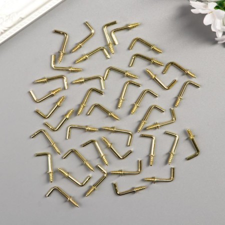 Metal hook (set 40 pcs) gold 2.5x0.5 cm