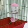 Drill for rodents, 500 ml, 20.5 x 5 cm, pink