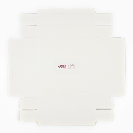 Box Gift folding carrion for colors, packaging, "tenderness", 20 x 20 x 4 cm-5