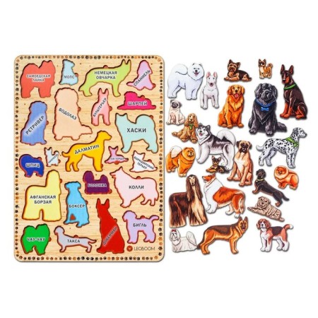 The frames of the "dog breed"-4