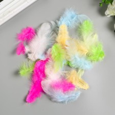 Decorative feathers 
