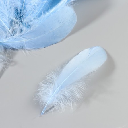 A set of feathers of the goose 13-18 cm, 20 pcs, light blue-2