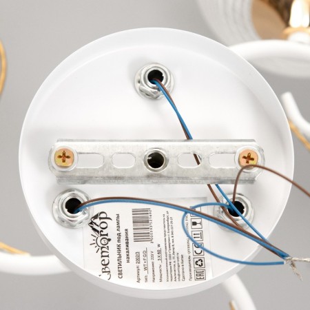 Cellular Jacqueline 3CHE27 40W white, gold-8