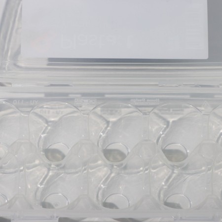 Egg storage container, 10 cells, 26.5 × 12.5 × 7 cm-7