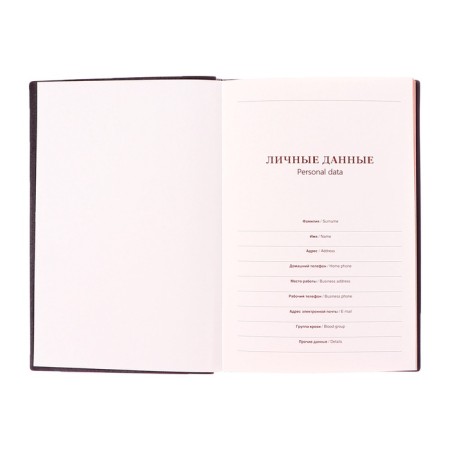 Deliciper of Leduced A5, 116 sheets in a cage, PVC light cover, tinted cut, mix-6