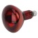 Infrared lamp ERA IKZK 220-250 R127 The multiplicity of 1 pc e27 / e27 for heating animals and lighting