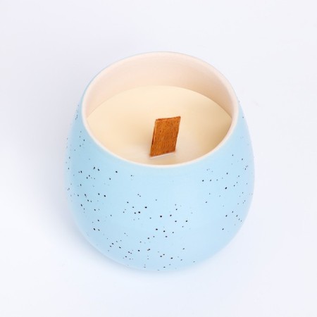 Superior wax candle in Kashpo "Tenderness", 8x8 cm, mix-5