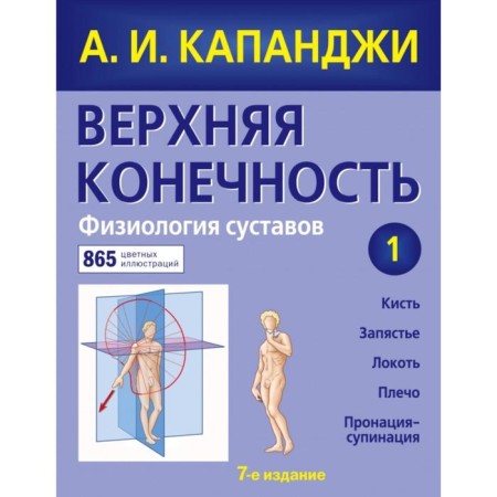Upper limb. Joint physiology (updated edition). Kapanji A.I.