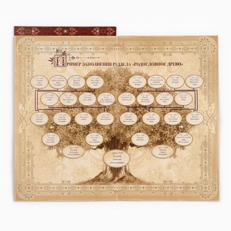 The genealogy book with a frame under the photo "Pedigree Book", 50 sheets, 21.5 x 23.7 cm-13
