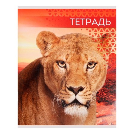 Notebook of 48 sheets in the Calligrata "Wild Cats" line, cover covered paper, block No. 2, mix-2