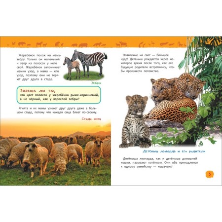 Encyclopedia for the kindergarten "Baby animals", Klyushnik L.V.-3