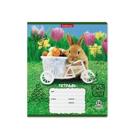 Notebook 12 sheets, cage, erichkrause, rabbits, mix-2