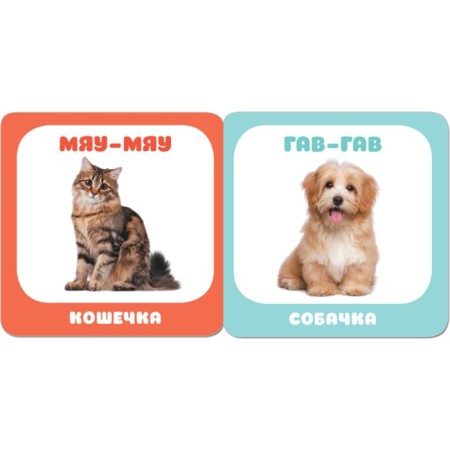 Kids. The course of early development 0+ "Pets". Denisova D.-2