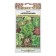 Seeds of leaf salad "all -season" mixture, series Russian garden, 1 g