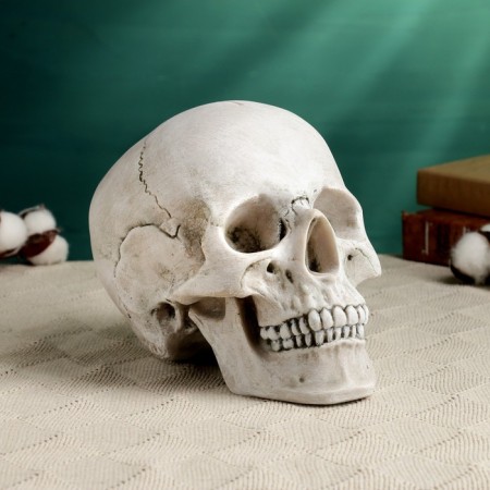 Pigger "Skull Yorik" Gray Stone, 23x14x17cm