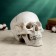 Pigger "Skull Yorik" Gray Stone, 23x14x17cm